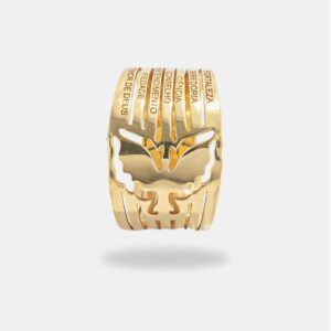 anel ouro 18k dons do Espírito Santo